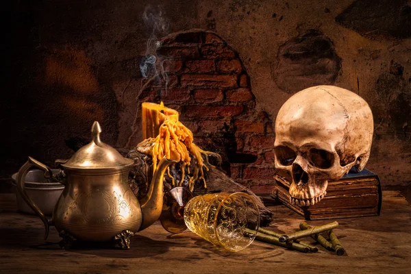 Still life skull5 — Stock Photo, Image