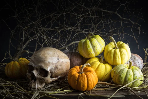 Calabazas de naturaleza muerta —  Fotos de Stock