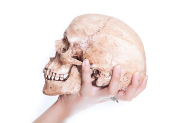 kafatası içinde el