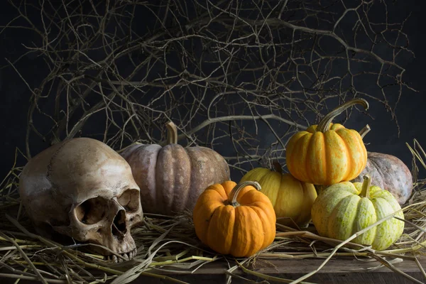 Calabazas de naturaleza muerta — Foto de Stock