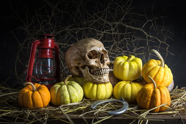 Calabazas de naturaleza muerta — Foto de Stock