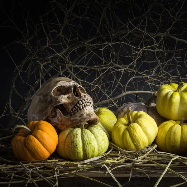 Nature morte citrouilles — Photo