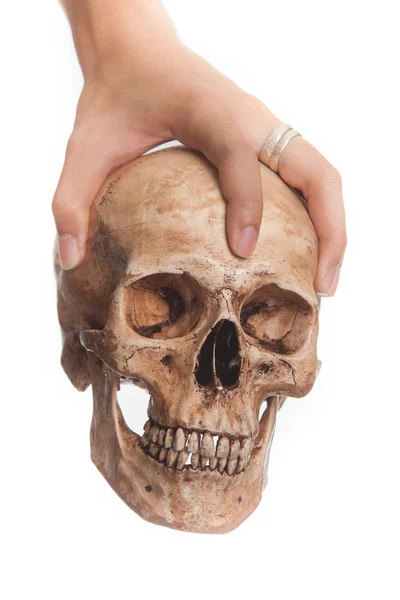 Skull in hand — Stock Photo, Image