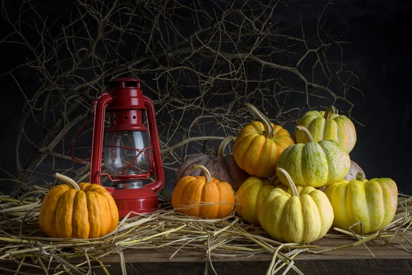 Calabazas de naturaleza muerta — Foto de Stock