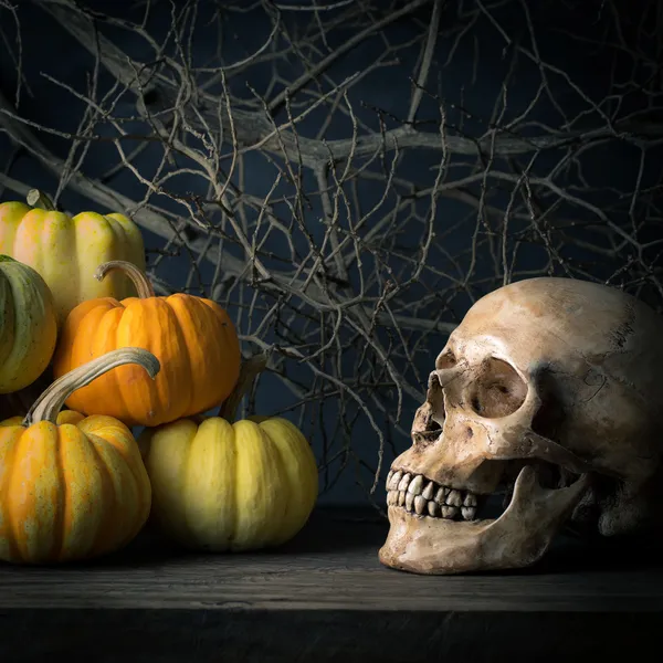 Calabazas de naturaleza muerta — Foto de Stock