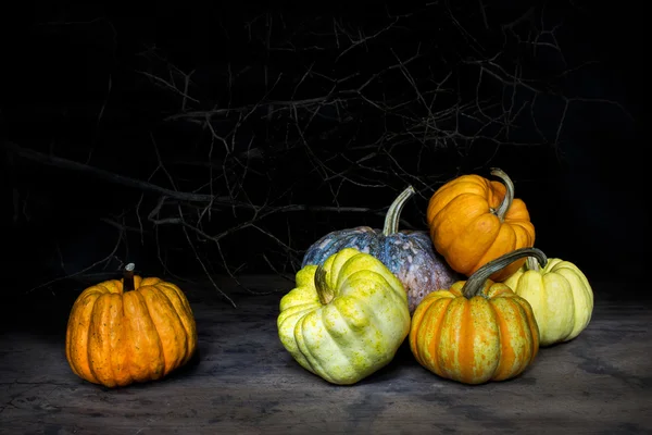 Nature morte citrouilles — Photo