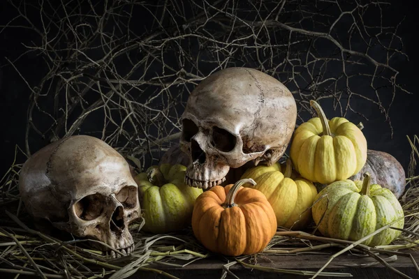 Calabazas de naturaleza muerta —  Fotos de Stock