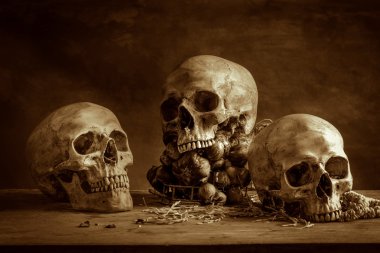 Natürmort kafatası