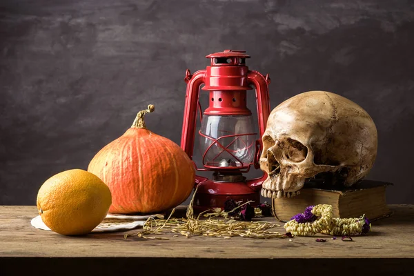 Still life skull — Stock Photo, Image