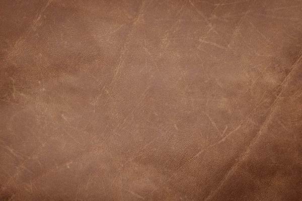 Textura din piele — Fotografie, imagine de stoc