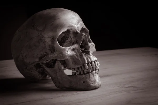 Human skull on table — Stock Photo, Image