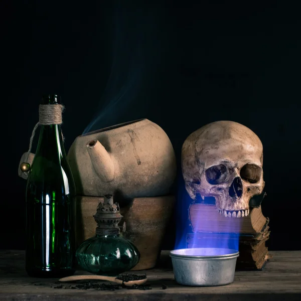 Vintage skull — Stock Photo, Image