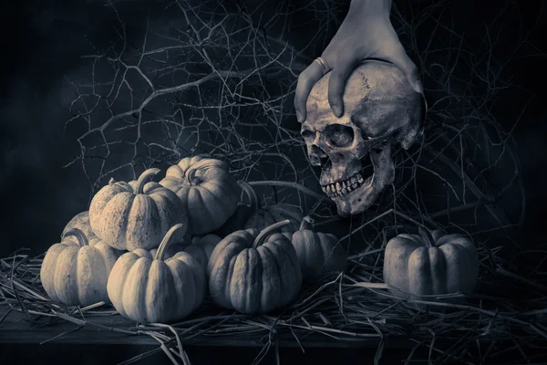 Calabazas de naturaleza muerta — Foto de Stock