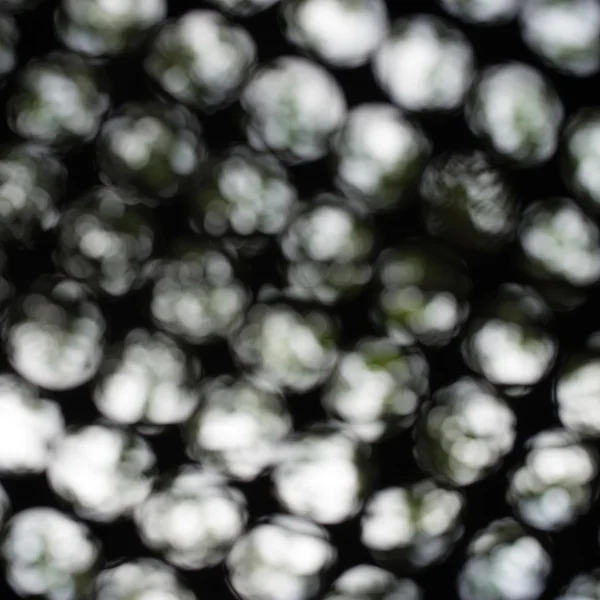 Groupe de bokeh — Photo