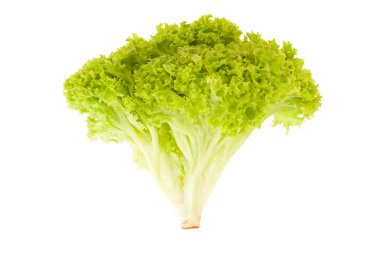 beyaz zemin üzerine salata