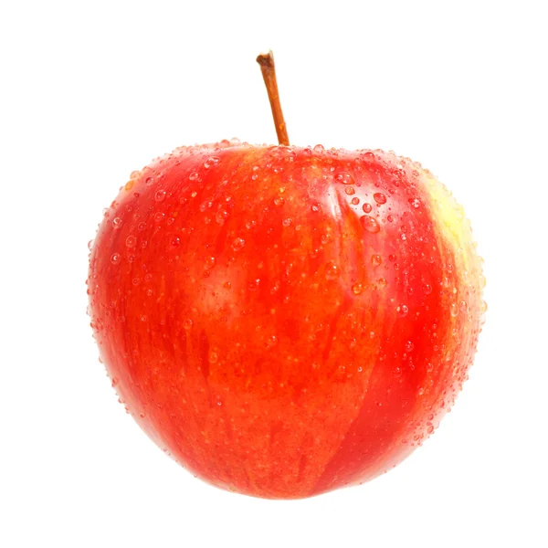 Zoete verse apple — Stockfoto