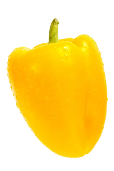 Färska paprika — Stockfoto