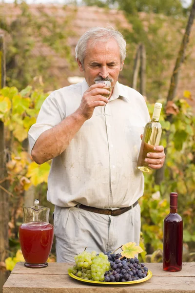 Oude man met wijnstokken — Stockfoto