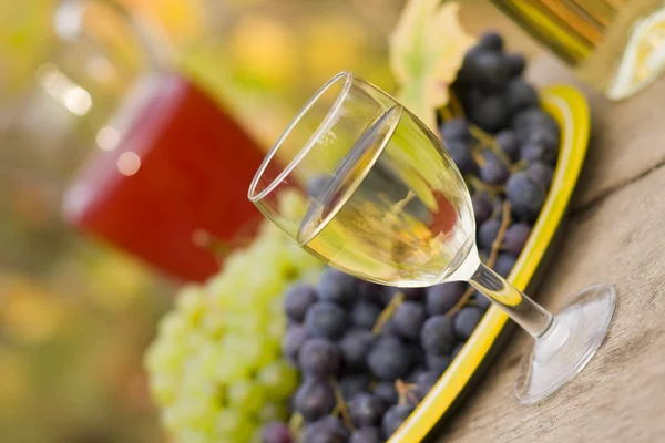 From grape to vine — Stock Photo, Image