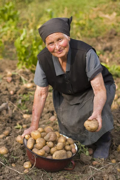 Oudere vrouw buitenshuis werken — Stockfoto