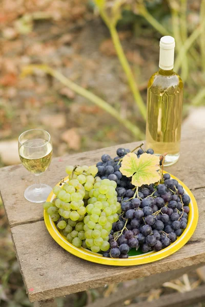 From grape to vine — Stock Photo, Image