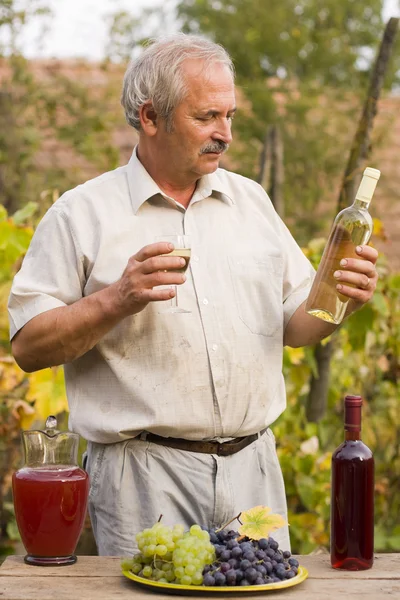 Oude man met wijnstokken — Stockfoto