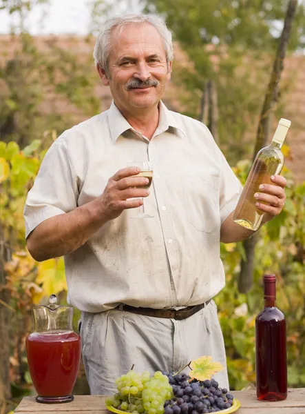 Oude man met wijnstokken — Stockfoto