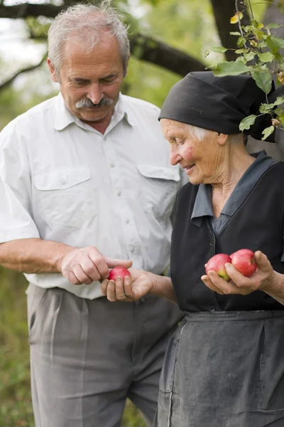 Mutter und Sohn — Stockfoto