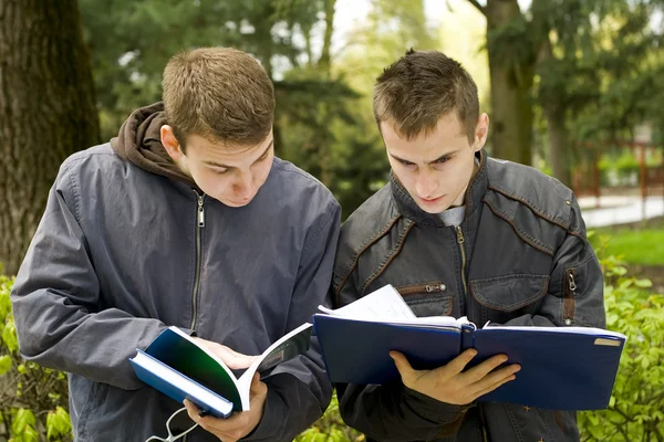 Studieren — Stockfoto