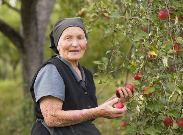 Een vrouw die nooit haar levensstijl geeft — Stockfoto