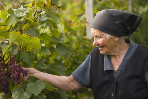 Oudere vrouw in de tuin — Stockfoto