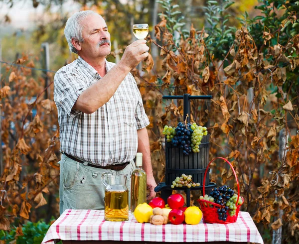 Undersøkelse av vin etter mann – stockfoto