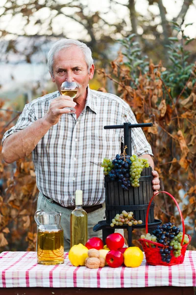 ดื่มไวน์ — ภาพถ่ายสต็อก