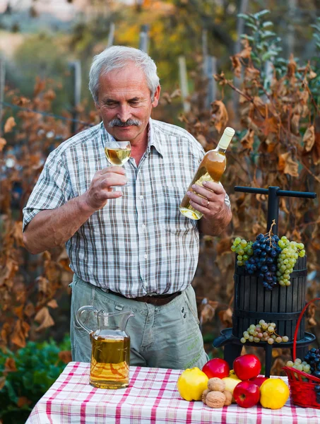 Homme âgé dégustation de vin — Photo