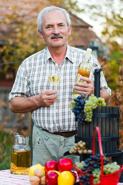 Rich harvest — Stock Photo, Image