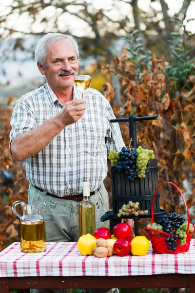 Alla salute. ! — Foto Stock