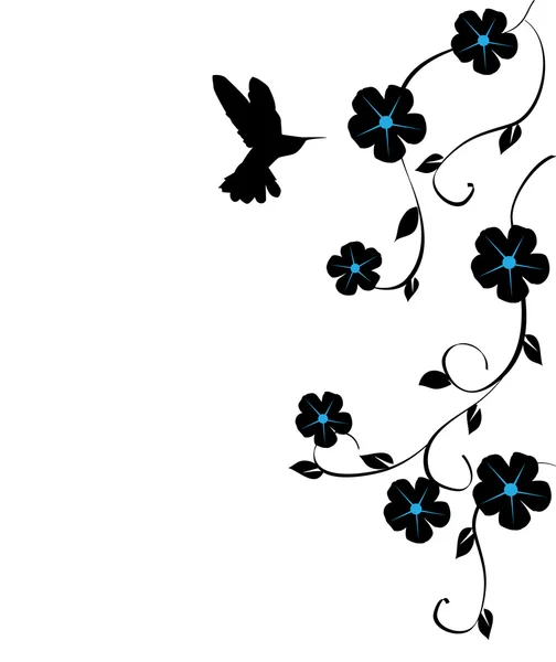 Colibrí — Vector de stock