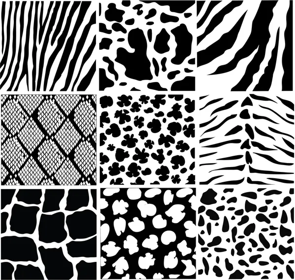 Animal skin — Stock Vector