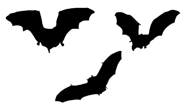 Siluety netopýrů — Stockový vektor