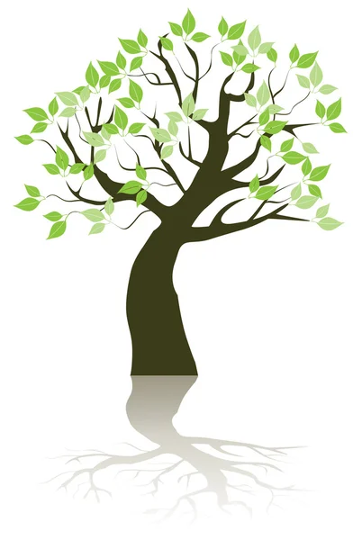 Tree — Stock Vector