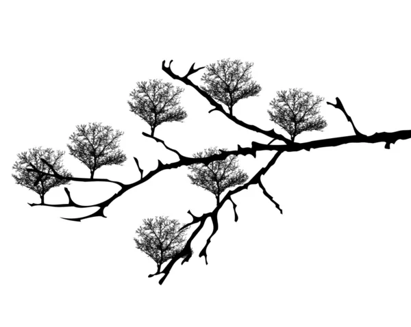 Branche d'arbre — Image vectorielle