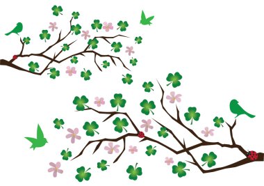 Shamrock şubeleri