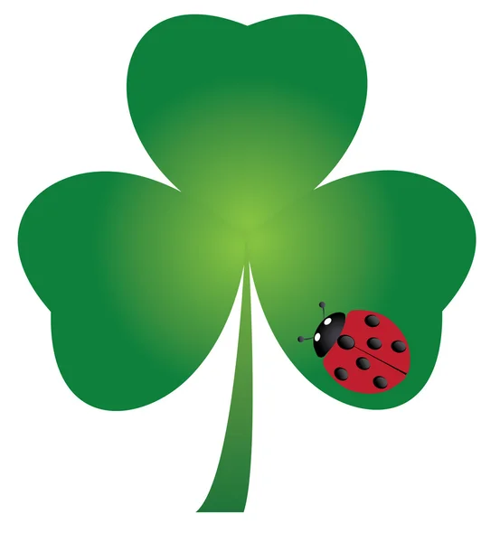 Shamrock — Stock Vector