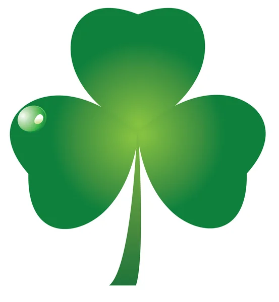 Shamrock. — Vetor de Stock