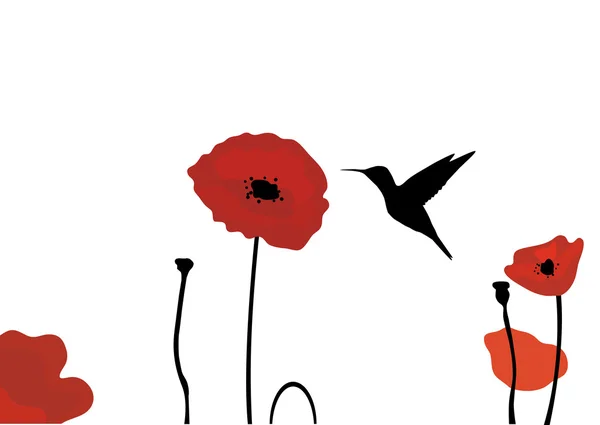 Colibri et fleurs — Image vectorielle