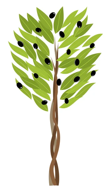 Olive Tree — Stock Vector