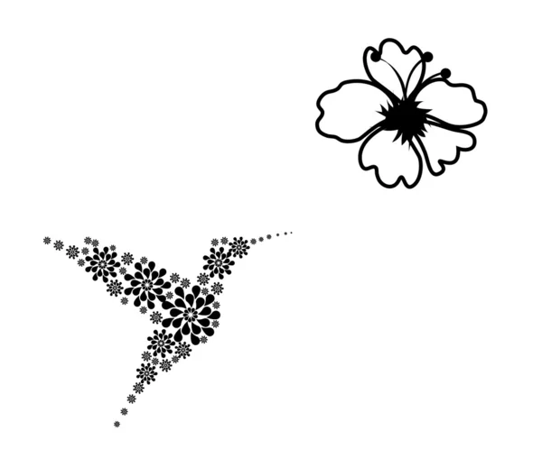 Colibrí — Vector de stock