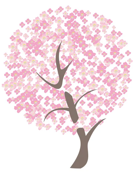 Cherry Blossom — Stock Vector