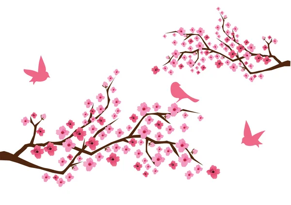 Cherry Blossom — Stock Vector