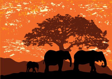 Afrika